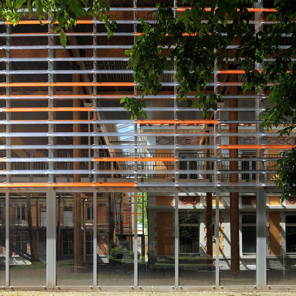 zzp_5646-carre